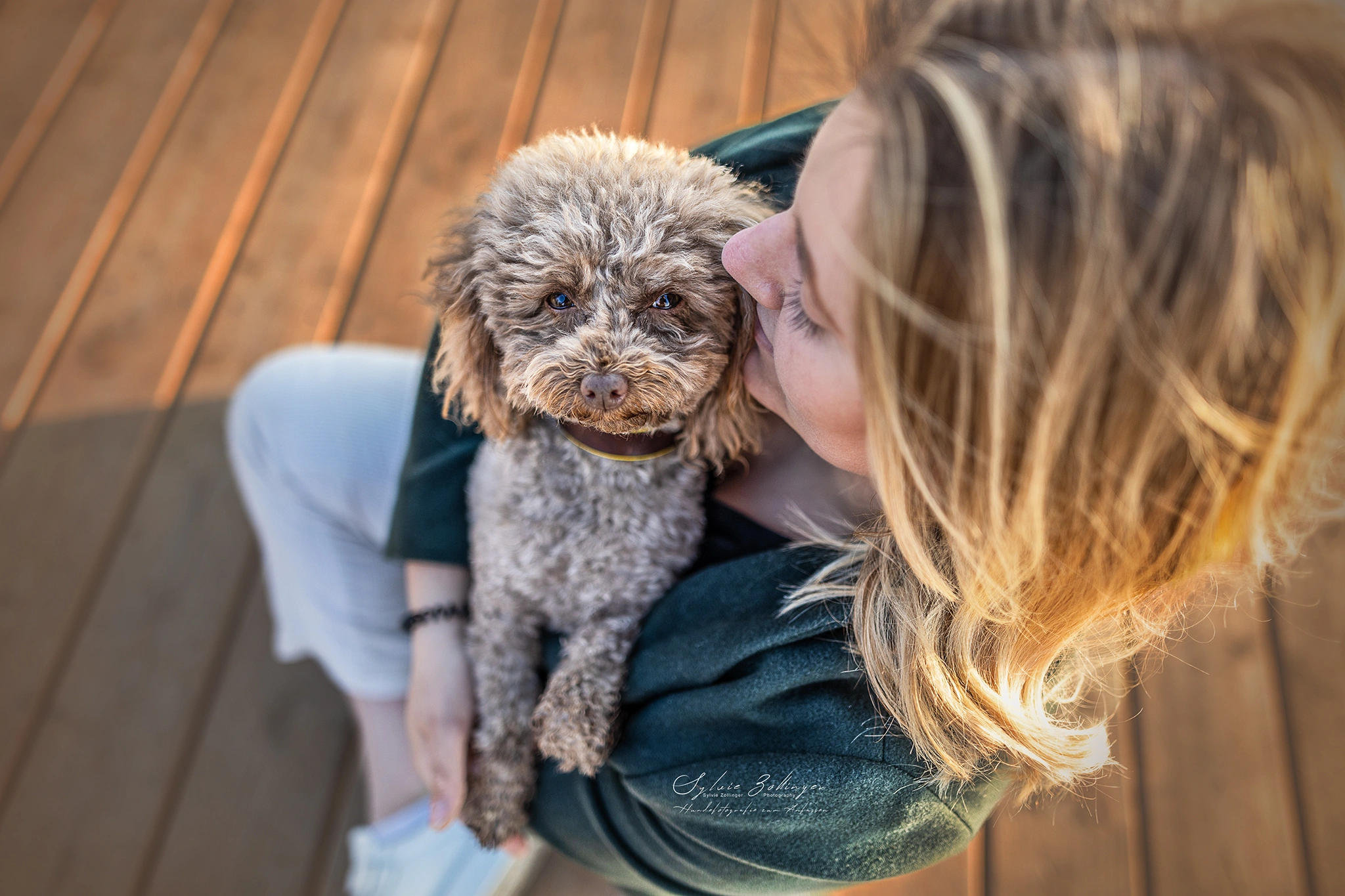 Mensch- Hund Team Fotografie