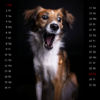 Snap-Dog-Kalender