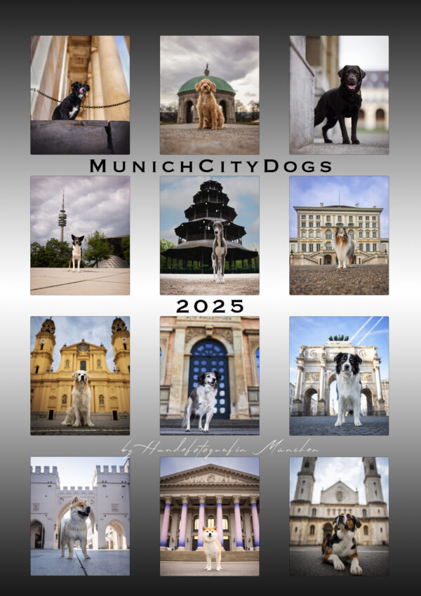 MunichCityDogs Kalender 2025