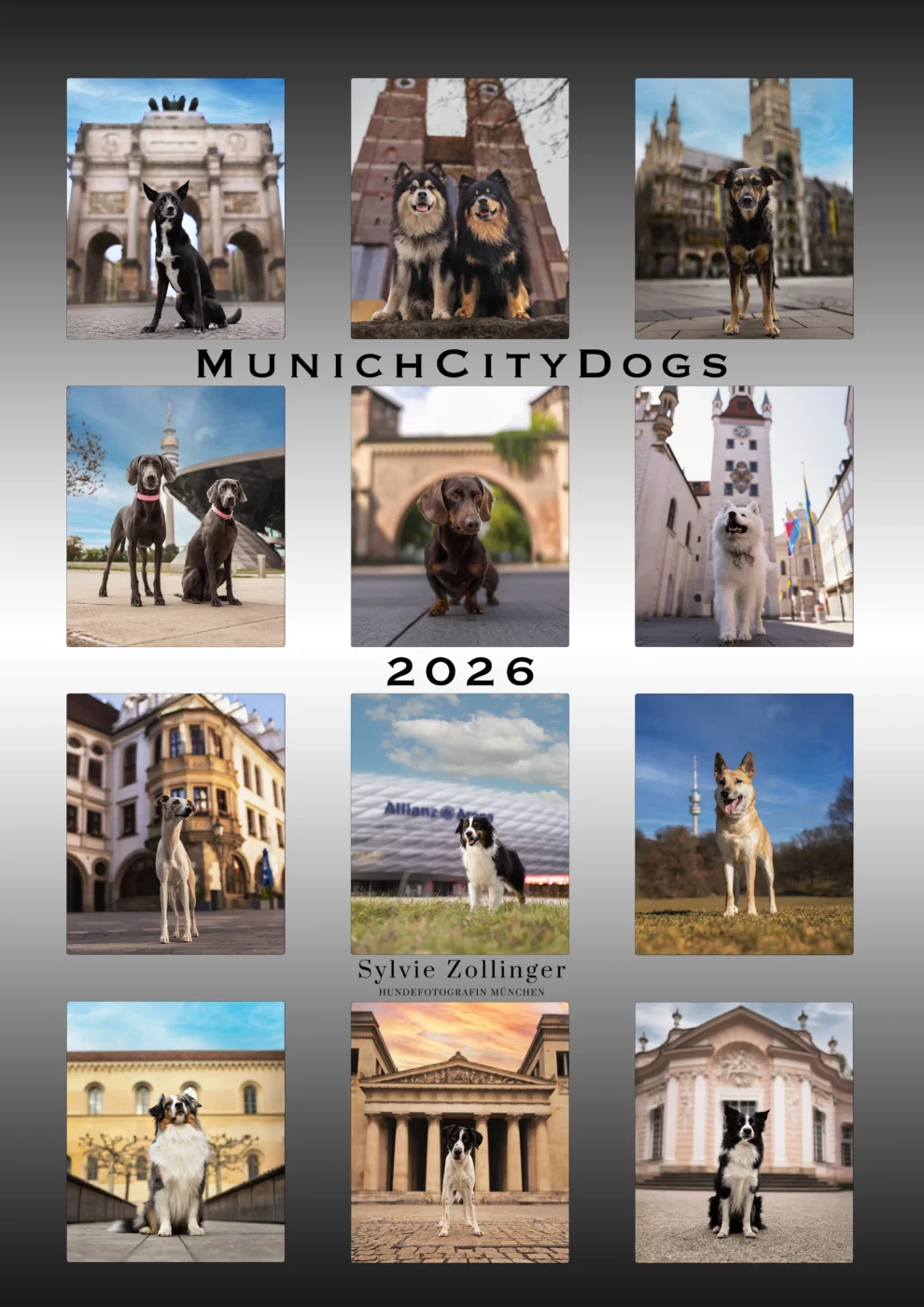 MunichCityDogs Cityshooting Hundefotografie
